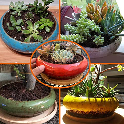 Bonsai Pots, Large Succulent Pots with Drainage, Ceramic Pots for Plants - color: Green