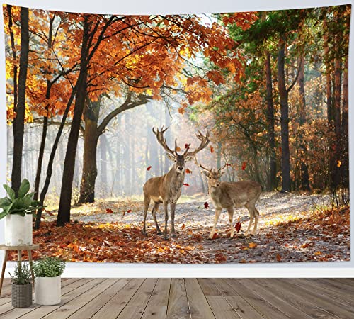HVEST Fall Tapestry Deer in Orange Maple Tree Forest Wall Art for Bedroom Autumn Nature Landscape Wall Hanging Blanket Holiday Tapestry for Living Room Dorm Wall Decor, 59W x 51L inches - color: Orange, size: 51"L x 59"W