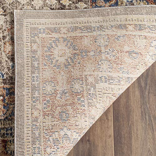 SAFAVIEH Bijar Area Rug 6x8, Traditional Distressed Brown & Rust BIJ652D - color: Brown/Rust, size: 6' x 8' (Rectangular)
