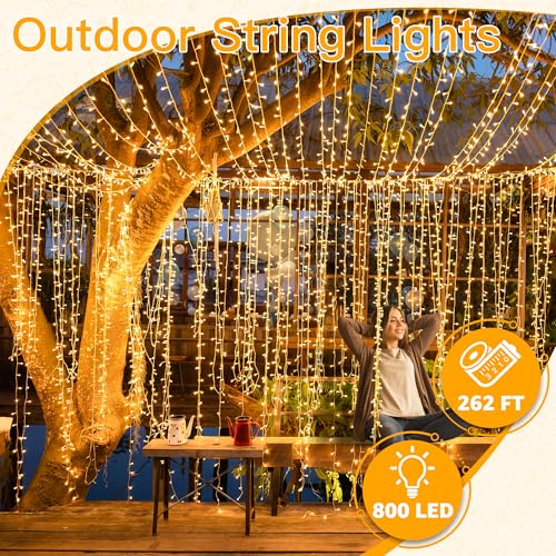 Ollny Christmas Lights Outdoor 800LED 262FT, Warm White Plug in Fairy Light - color: Warm White, size: 800LED