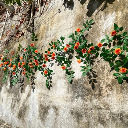 1X 6FT Fake Rose Garland, Flower Garland,Artificial Flower wild Rose Vine - color: Yellow-orange, size: 1