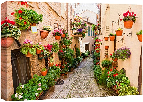 wall26 Canvas Print Wall Art Floral Botanical Garden Italian Alley Nature Wilderness Photography Realism Rustic Scenic Landscape Earth Panorama Colorful for Living Room, Bedroom, Office - 12"x18" - color: A05-2205-irs28, size: 18"L x 12"W