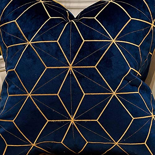 Avigers Throw Pillow Cover 20 x 20 Inch, Blue Gold, Velvet, Hidden Zipper - color: Blue, Gold, size: 20" x 20" (Pack of 1)