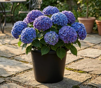 4 Pack 16 Inch Large Planters for Outdoor Plants with Drainage Holes - size: Large - 16 inch