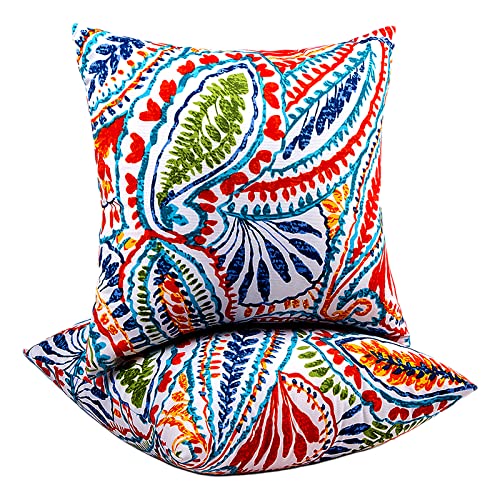 JMGBird Outdoor Throw Pillows Decorative Outdoor Accent Pillows with Insert - color: Paisley Print