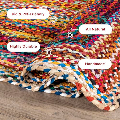 nuLOOM Tammara Multicolor Ombre Braided Runner Rug, 2' x 8'