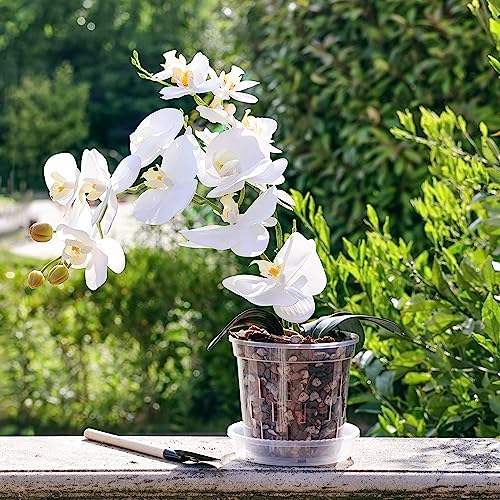 TRUEDAYS Orchid Pot with Saucers, 6 Pack 5 Inch Plant Pot with Drainage - size: 5Inch-6Pack with 6 Saucers