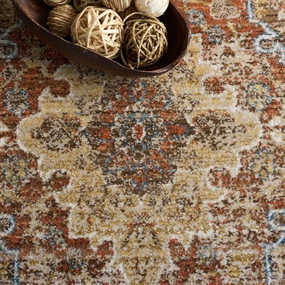 SAFAVIEH Bijar Collection 4' Round Brown/Rust BIJ652D Traditional Oriental Distressed Living Room Dining Bedroom Foyer Area Rug - color: Brown/Rust, size: 4' (Round)