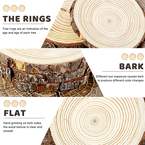FSWCCK 6 Pack Nature Unfinished Round Wood Slices, 7-8 Inches Wooden Circle, Large Wood Slabs for Weddings Centerpieces Decor and DIY Painting Crafts - size: 7"- 8 "