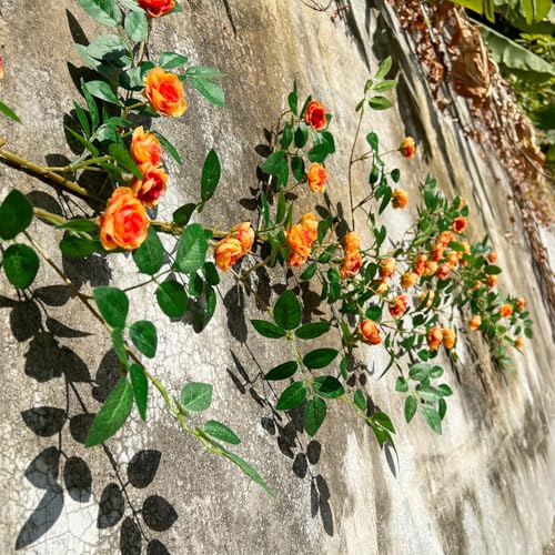 2X 6FT Fake Rose Garland, Flower Garland,Artificial Flower wild Rose Vine - color: Yellow-orange, size: 2
