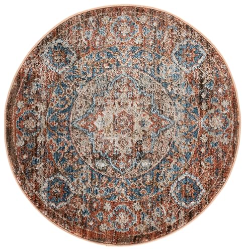SAFAVIEH Bijar Collection 4' Round Brown/Rust BIJ652D Traditional Oriental Distressed Living Room Dining Bedroom Foyer Area Rug - color: Brown/Rust, size: 4' (Round)