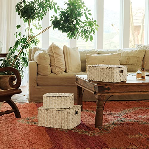 GRANNY SAYS Wicker Baskets with Lids, Woven Storage Basket with Lid - color: Butter Milk, size: 3 Pack
