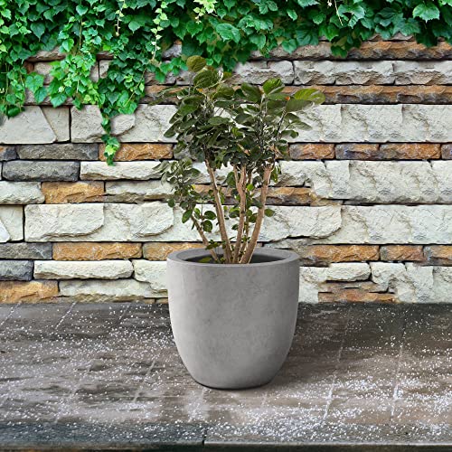 Kante Large Round Curved Pale Gray Concrete Planter 16.5" Dia, Outdoor - color: Natural Concrete, size: 16.5"d
