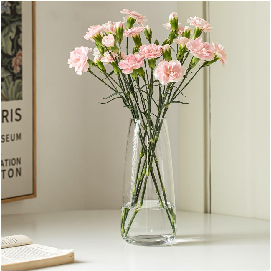 FANTESTICRYAN Modern Glass Vase, 8.7''H Decor Flower Vases, Crystal Clear - color: Crystal Clear