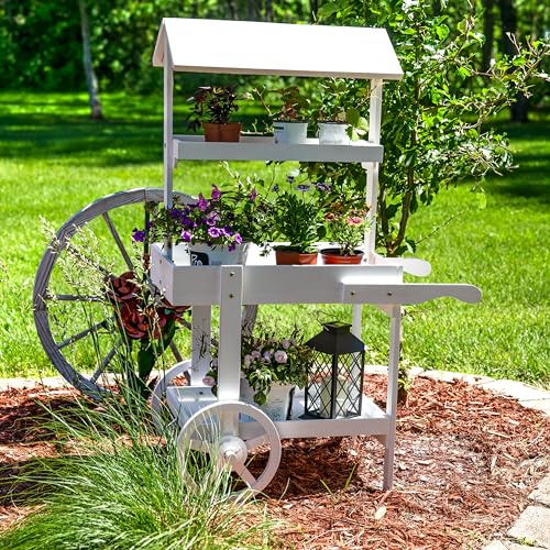 Sunnydaze Flower Cart Display Stand with Wheels, Fir Wood, 49” H, White - color: White