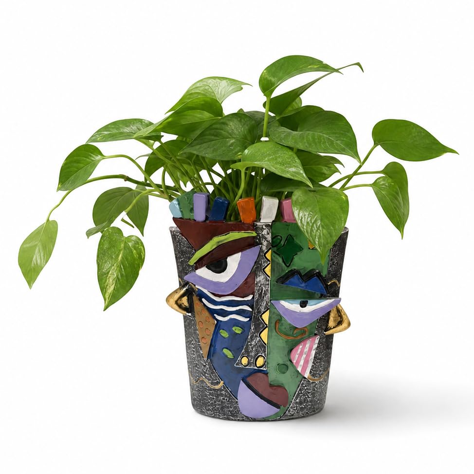 Planter Pot with Drainage Hole, Abstract Face Pot - color: 3