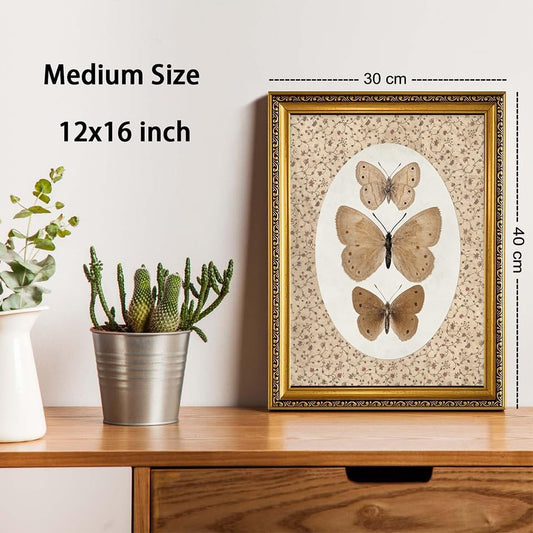 Vintage Butterfly Wall Art gold Framed Butterfly Pictures Wall Decor - color: Butterfly, size: 16"L x 12"W