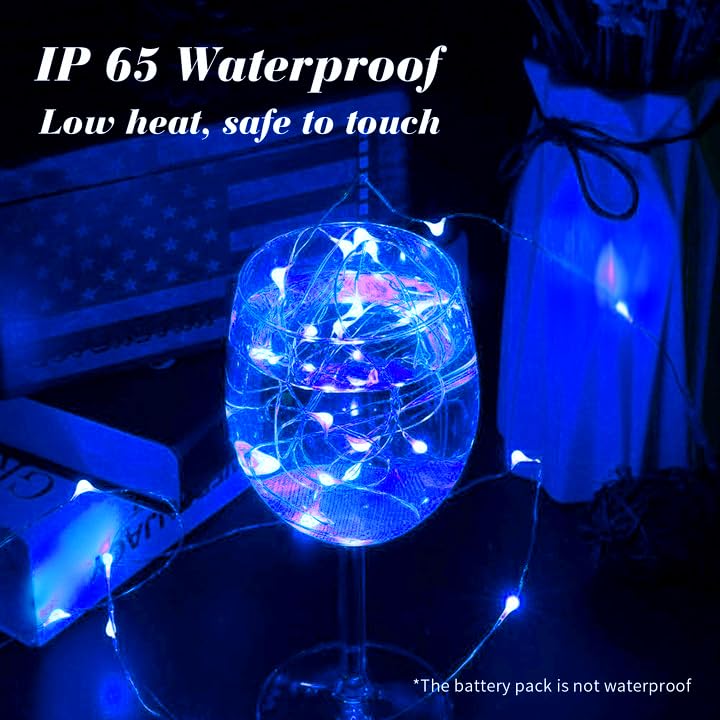 ZGWJ 100 Pack Blue Fairy Lights, Mini String Lights - color: Blue, size: 100P