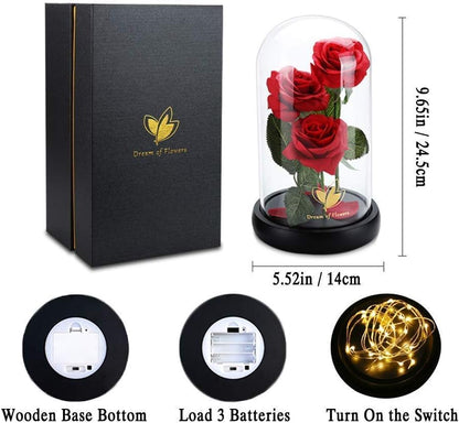 Beauty and The Beast Rose for Mom, Birthday Gifts for Women, Light Up Roses, Glass Dome Rose with LED Lights, Red Roses, Women's Gift for Mom Wife Grandmother - color: Red