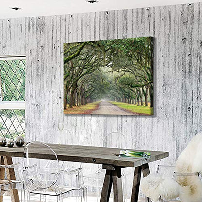Hardy Gallery Tree Tunnel Canvas Wall Art Oak Landscape 36x24 Inch - color: Path in Oak Trees, size: 36"L x 24"W