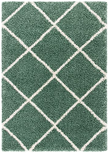 SAFAVIEH Hudson Shag Accent Rug 2x3, Plush Trellis Green & Ivory SGH281Y - color: Green/Ivory, size: 2' x 3' (Rectangular)