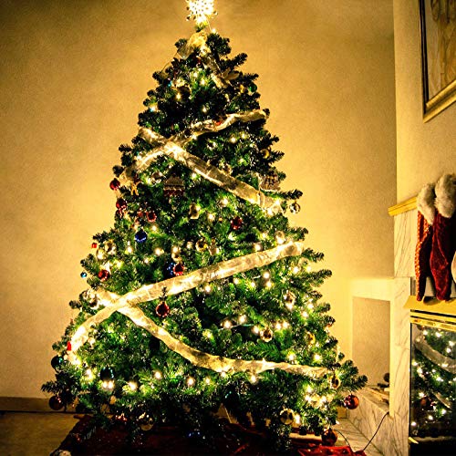 RUICHEN Fairy Lights Plug in, 33 Ft 100 LED Silver Wire Lights, Warm White - color: Warm White