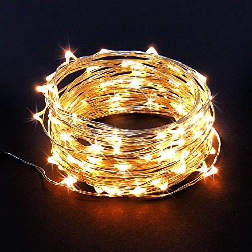100 LED String Lights, 32 Feet, Silver Wire, Warm White, Plug-in, Indoor-Outdoor, 5V DC Transformer - color: Warm White