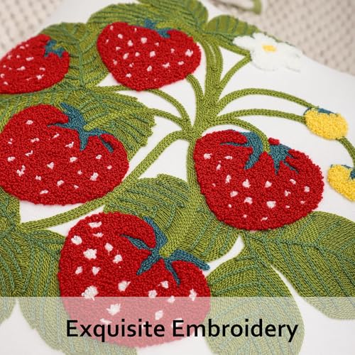 Embroidered Throw Pillow Covers 18x18 inch Pack of 2 Red Strawberry - color: Red Strawberry