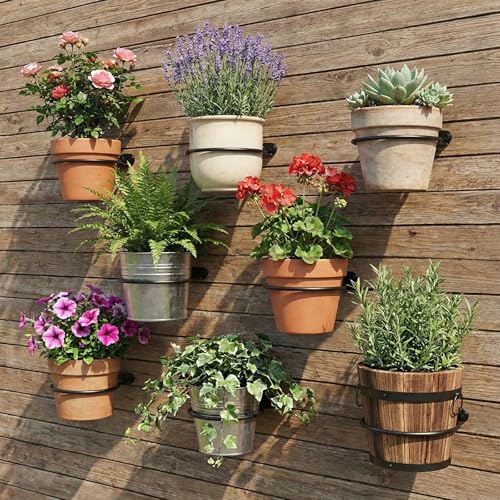 8 Pack 6 inch Wall Mounted Plant Holder, Flower Pot Holder Ring - size: 6Inch