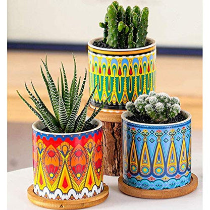 Mandala Succulent Pot with Drainage Hole & Bamboo Coaster, Small Plant Pots, Bohemian Ceramic Succulent Planter Pot for Small Plant-6 Pack - color: A Style