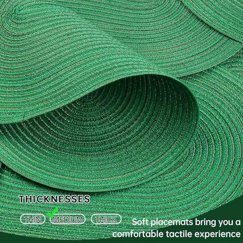 Placemats Set of 4, Woven Oval Braided Dining Table Mats(Green Shine) - color: Green Shine, size: 4 pcs