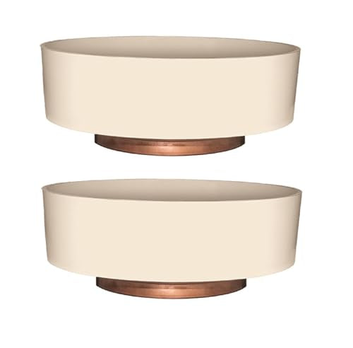 The HC Companies 8 Inch Round Plastic Succulent Capri Bowl Decorative Indoor Flower Succulent Planter Pot with Drain Plug Hole, Vanilla Bisque (2 Pack) - color: Vanilla Bisque, size: 8" (Pack of 2)